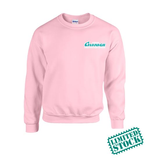 Spring Fever Crewneck